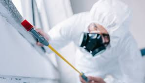 Best Fumigation Services  in Chelsea Cove, NY